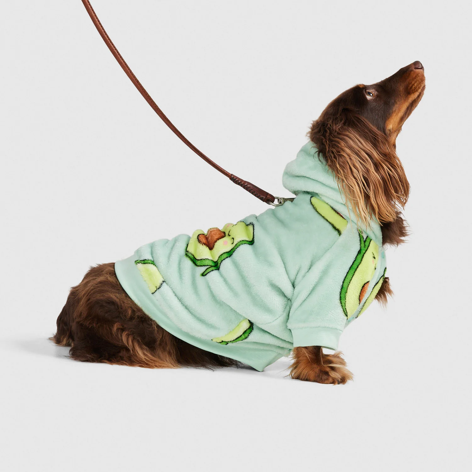 Avocado & Toast - Image 5